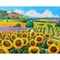 Posterazzi Vineyards and sunflowers in Provence Poster Print by Jean-Marc Janiaczyk